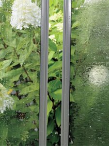 WST-Comparison_upscayl_4x_remacri