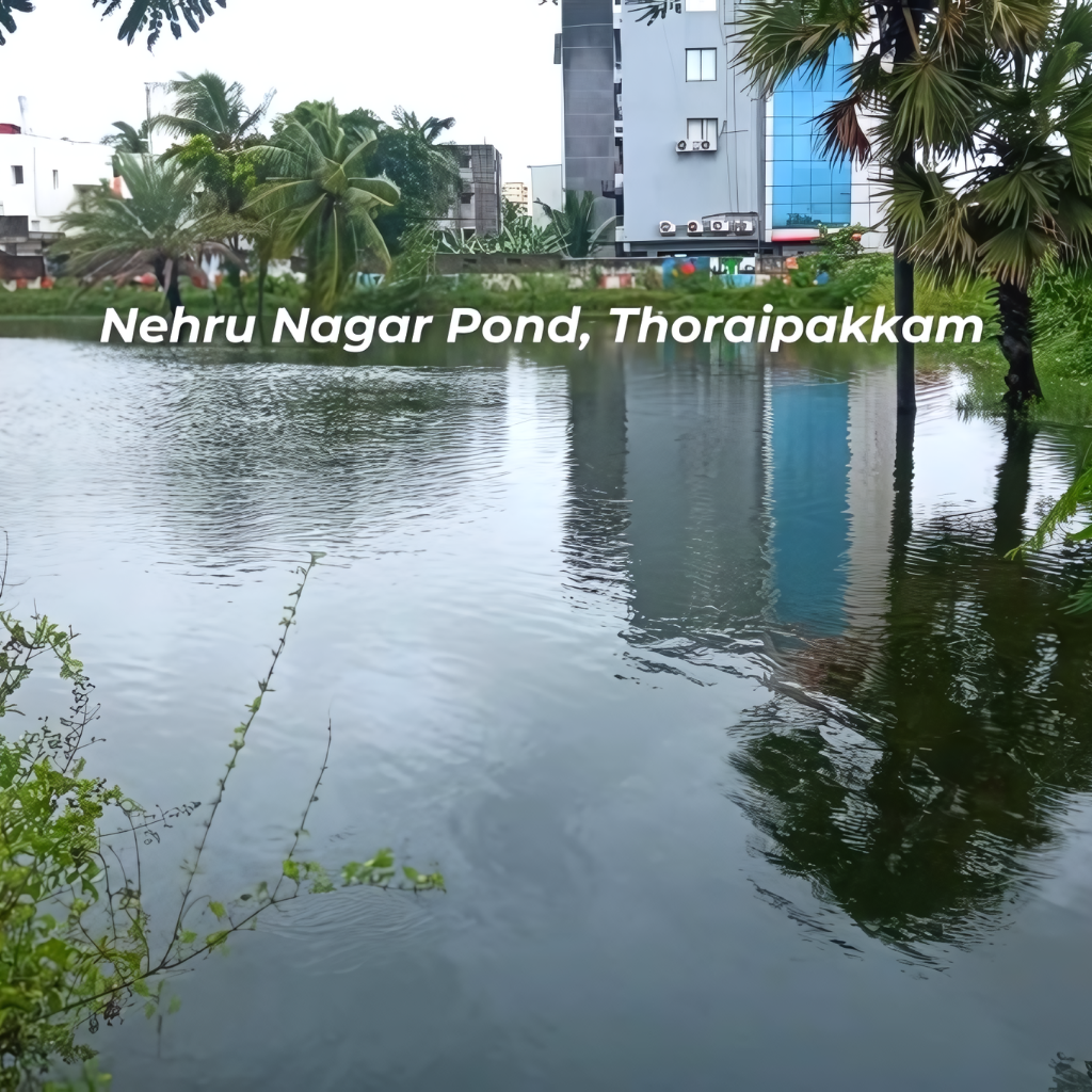 Mosquito Nets in Thuraipakkam