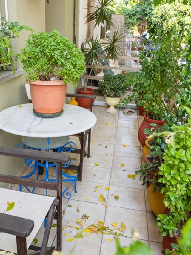 Small balcony garden