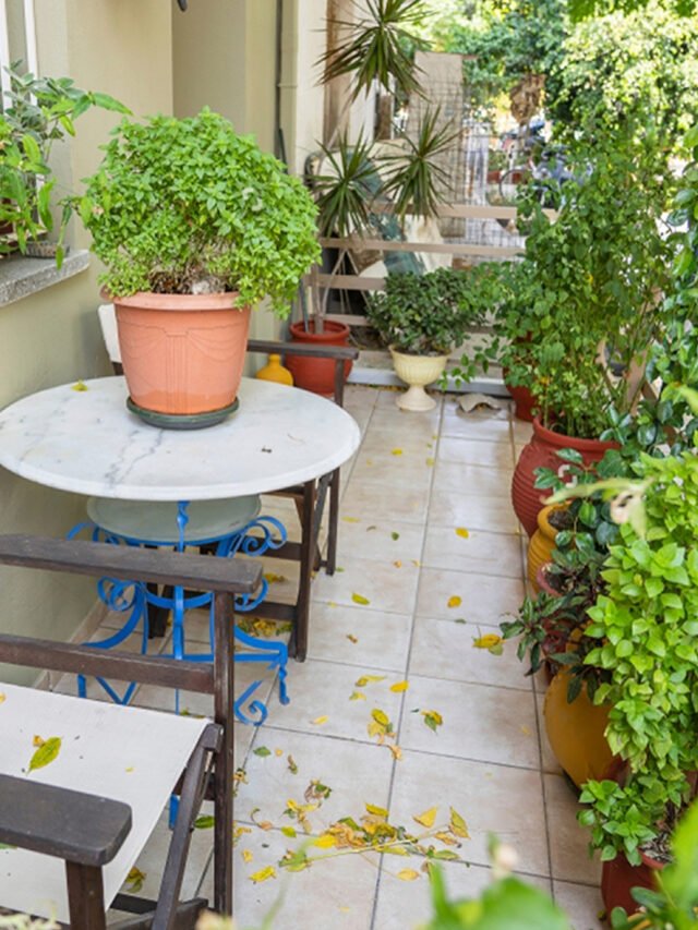 Small balcony garden