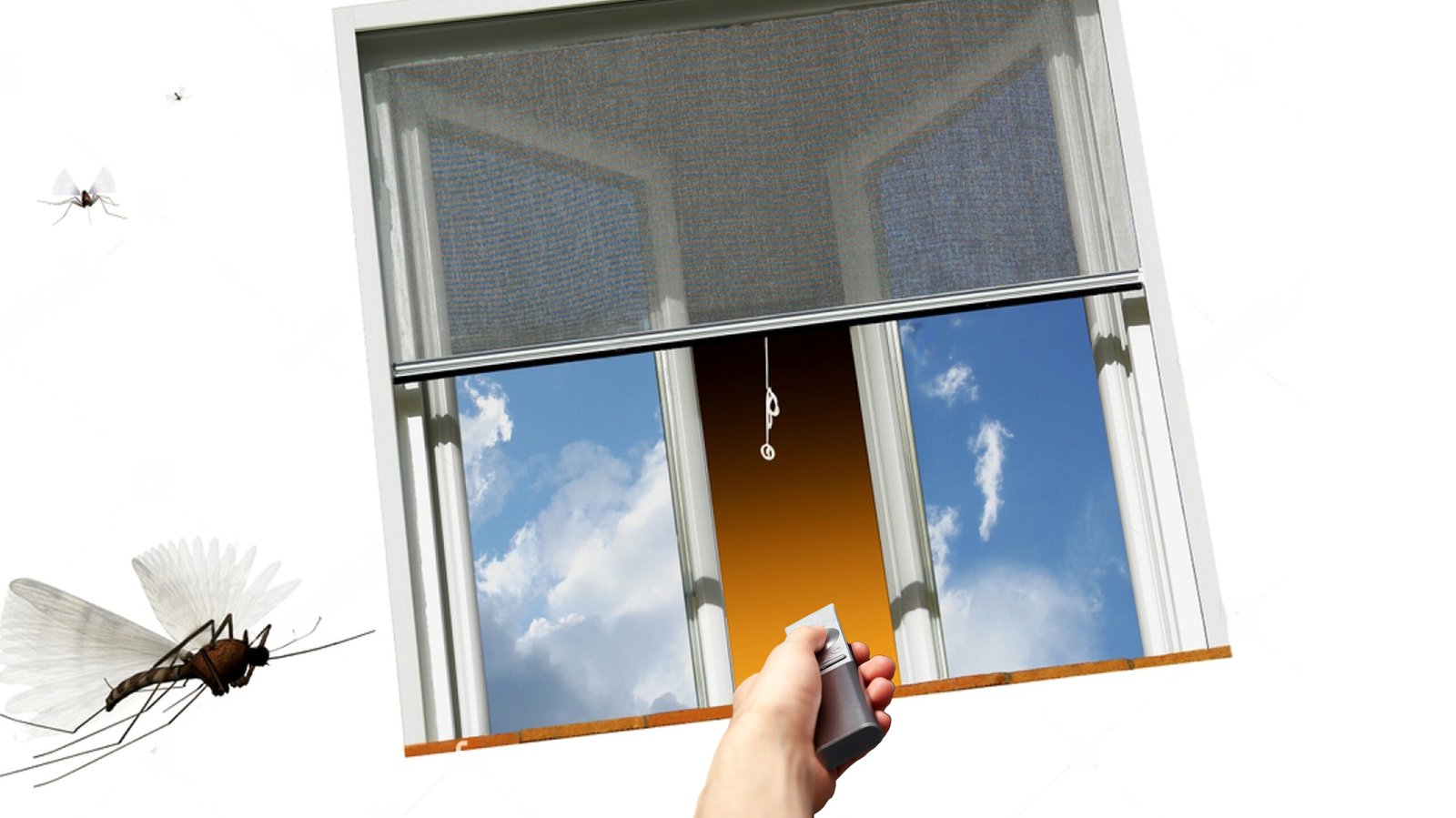 The Future of Insect Screens