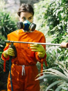 Pests from your Garden!